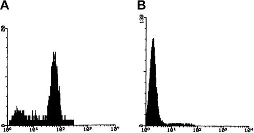 Fig. 2. Enrichment of CD59− granulocytes with immunomagnetic beads. / (A) Fluorescence histogram of CD59 staining of granulocytes before separation, showing a minor negative population. (B) Fluorescence histogram after depletion of CD59+ cells.