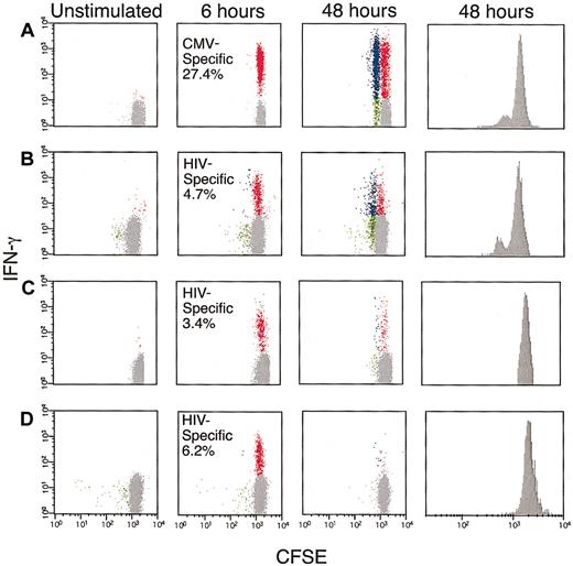 Fig. 1. Antigen-specific proliferation of CMV and HIV-specific CD8+T cells. / PBMCs, obtained from subjects 31, 15, 12, and 17 (A-D, respectively), were CFSE labeled and incubated with either the HLA-A2–restricted CMV pp65 peptide (A) or overlapping peptides encompassing the HIV gag protein (B-D). The cells were cultured for either 6 or 48 hours and then labeled with anti–CD3 PerCP, anti–CD8 APC, and anti–IFN-γ-PE. The flow cytometric data represent gated CD3+CD8+ T cells and is demonstrated as follows: background (costimulatory antibodies alone, left), 6-hour stimulation (center, left), and 48-hour stimulation dot plots (center, right) and CFSE histogram (right). The Y-axes in the dot plots represent staining for IFN-γ. Red dots represent CD8+ T cells that produced IFN-γ but did not divide. Blue dots correspond to IFN-γ+ proliferating CD8+ T cells, and green dots correspond to IFN-γ−–proliferating CD8+ T cells. The numbers represent the total antigen-specific response at 6 hours. Gray dots represent CD8+ T cells that did not proliferate or produce IFN-γ.