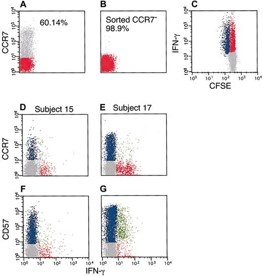Fig. 2. Antigen-specific proliferation of CCR7− HIV-specific CD8+ T cells. / PBMCs were obtained from subject 15 and labeled with anti–CCR7 PE antibody (A). CCR7− cells were sorted by flow cytometry (B), followed by CFSE labeling and 48 hours of HIV−peptide stimulation (C). Red and gray dots represent CCR7−and CCR7+ cells, respectively (A-B). Red, blue, and gray dots are as in Figure 1 (C-G). In a separate experiment, PBMCs were obtained from subject 15 (proliferating) and subject 17 (nonproliferating) followed by 6 hours of stimulation with HIV-peptides as described in “Patients, materials, and methods.” Cells were then labeled with anti–CD3 PerCp, anti–CD8 APC, anti-CCR7 (D-E), or anti–CD57 PE (F-G) and anti–IFN-γ FITC. The data are gated for CD3+CD8+ T cells. In panels D-G, blue dots represent CD8+ T cells that express the marker of interest but did not produce IFN-γ. Red dots correspond to CD8+ T cells that produced IFN-γ but did not express the marker of interest. Finally, green dots represent CD8+ T cells that expressed the marker of interest and produced IFN-γ. This experiment was repeated with PBMCs from the same subject to assure reproducibility.