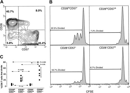 Fig. 4. Division of T-cell populations defined by their CD57 and CD28 expression patterns. / PBMCs from a healthy individual were stained with anti–CD57 FITC, anti–CD28 PE, anti–CD8 PerCp, and anti–CD45RA APC. Panel A shows the CD57 (x-axis) versus CD28 (y-axis) staining pattern of memory CD8+ T cells with CD45RA+CD28+events removed to examine the memory CD8+ T cells. The numbers represent the percentages of CD28+CD57−, CD28+CD57+, CD28−CD57+, and CD28−CD57− populations. (B) PBMCs were CFSE labeled and stimulated with SEB for 4 days. Following stimulation, PBMCs were stained with CD57 PE, CD8 PerCP, and CD28 APC. CFSE histograms are demonstrated representing the CD28+CD57− population (upper left histogram), CD28+CD57+ population (upper right histogram), CD28−CD57− population (lower left histogram), and CD28−CD57+ population (lower right histogram). The numbers indicate the percentages of each population that had divided (calculated using the proliferation platform of FlowJo). These data are representative of experiments conducted on PBMCs from 6 separate individuals and using SEB, anti-CD3, or phytohemagglutinin as the stimulus (C). Wilcoxon matched pairs test demonstrated that the CD28−CD57−CD8+ T-cell populations contain significantly more proliferation-competent T cells compared with either CD57+CD8+ T-cell population (P = .004). Vertical bars represent the 25th to 75th percentiles.