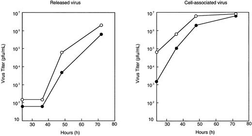 Fig. 2. One-step growth curve of MV-Edm and MV-αCD38. / Vero cells were infected with MV-Edm (○) or MV-αCD38 (●) at a multiplicity of infection of 3.0 for 2 hours at 37°C, after which the cells were incubated at 32°C for virus propagation. Media was collected, and cell lysates were harvested at 24, 36, 48, and 72 hours after infection to determine amount of (A) released or (B) cell-associated virus by TCID50 titration on Vero cells (plaque-forming unit per milliliter).