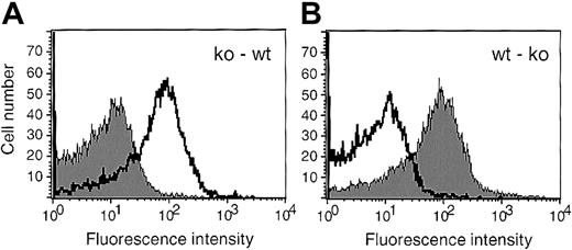 Fig. 1. Platelets in mice that received bone marrow transplants were of donor genotype. / Platelets isolated from the mice receiving transplants were activated by thrombin, incubated with FITC-labeled anti P-selectin antibodies, and analyzed by flow cytometry. A representative histogram for each set of chimeric animals is shown; ko-wt (A), wt-ko (B). The shaded curve represents P-selectin expression on activated platelets from an animal receiving a bone marrow transplant, whereas the nonshaded curve was obtained by staining activated platelets of a control mouse without transplant of the same genotype as the recipient.