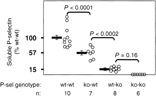 Fig. 5. sP-selectin in apoE−/− mice originates predominantly from endothelium. / Plasma sP-selectin levels of mice that received transplants were measured by ELISA at the end of the study. OD readings from plasma of wt-wt animals were considered as 100%. Bars represent the mean OD ± SEM.