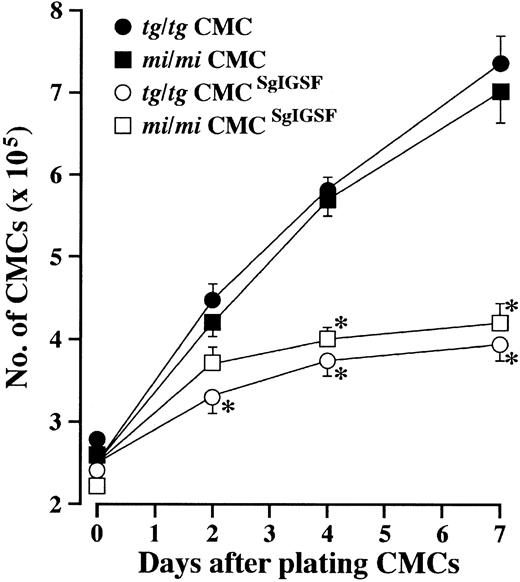 Fig. 7. Growth kinetics of SgIGSF-transfected CMCs. / CMCs (2.5 × 105) were suspended in 2 mL fresh medium containing PWM-SCM and plated onto 35-mm culture dishes. On the indicated days after plating, total cell numbers were counted with a standard hemocytometer. Four types of CMCs were examined: B6mi/mi CMCs (▪), B6tg/tg CMCs (●), B6mi/mi CMCs transfected with SgIGSF cDNA (mi/mi CMCSgIGSF; ■), and B6tg/tg CMCs transfected with SgIGSF cDNA (tg/tg CMCSgIGSF; ○). Mean cell numbers of triplicate samples were plotted; bars indicate SE. *P < .01 by Student t test when compared with the values of intact B6mi/mi or B6tg/tg CMCs.