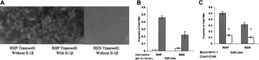 Fig. 2. REN and PECAM-1–transfected REN cells are phenotypically similar to ECs and support cytokine-stimulated, ICAM-1–dependent PMN transmigration. / (A) Confluent REN and RHP monolayers plated on transwells stained with anti–PECAM-1 antibody (mAb4G6). RHP monolayers were treated for 24 hours with IL-1β or vehicle exactly as performed in TEM experiments. (B) PMN transmigration through confluent REN and RHP monolayers treated for 24 hours with vehicle or 10 U/mL IL-1β (luminal). (C) PMN transmigration though IL-1β–stimulated REN and RHP monolayers. Monolayers and PMNs were exposed to either isotype-matched anti–MHC-1 or anti–ICAM-1 mAbs (100 μg/mL) 20 minutes prior to and during transmigration. Identical results were obtained using BSA (100 μg/mL) for nonblocking conditions (not shown). Transmigration rates are expressed as the proportion of PMNs migrating through the transwell filter compared with the total number of PMNs added (500 000). In these representative experiments, data represent the mean ± SEM from a minimum of 3 transwells for each condition. (*Significantly different from “unblocked” controls, P < .05.)