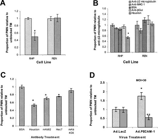 Fig. 3. IL-1β–stimulated PMN transmigration is composed of PECAM-1–dependent and –independent components. / Cell monolayers were treated for 24 hours with 10 U/mL IL-1β (luminal). Transmigration rates are expressed as the proportion of transmigrating PMNs compared with “unblocked” controls (set at 1.0). Data represent the mean ± SEM from a minimum of 3 transwells for each condition from at least 3 separate experiments unless otherwise indicated. (*Significantly different from “unblocked” controls,P < .05.) (A) Transmigration following exposure of neutrophils and REN or RHP monolayers to anti–PECAM-1 (Houston, ▨) or anti-β2 microglobulin (░) antibodies. (B) Transmigration following exposure of PMN and REN or RHP monolayers to anti-β2 microglobulin (reference set at 1.0), anti–MHC-1, anti-βGal antibodies, BSA, or anti–PECAM-1 (Houston) antibodies (all 100 μg/mL). (C) RHP cells. Luminal BSA (“unblocked” reference control) or anti–PECAM-1 antibodies Houston, mAb62, Hec7, or 4G6 (100 μg/mL) were added as indicated. Data represent the mean ± SEM from a minimum of 3 transwells for each condition from at least 2 separate experiments. (D) Confluent REN monolayers transduced with Ad.PECAM-1 or Ad.LacZ (PECAM null) and subsequently treated for 24 hours with 10 U/mL IL-1β (luminal). PMNs and tranduced REN monolayers were exposed to anti–PECAM-1 (Houston, ▨) or anti–MHC-1 (░) antibodies as indicated. Values are normalized to LacZ transfected (PECAM-1 null), “unblocked” (anti–MHC-1 antibody-treated), negative control. (*Significantly different from Ad.LacZ negative controls,P < .05; **significantly different from “unblocked” Ad.PECAM-1, P < .05.)