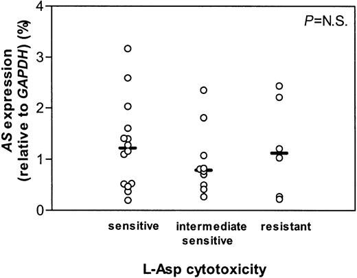 Fig. 2. AS gene expression in t(12;21) ALL. / mRNA expression of AS relative to GAPDH in t(12;21)+ ALL patients who are in vitro sensitive, intermediate sensitive, and resistant to l-Asp. Lines indicate the median values, circles represent individual patients.P indicates the difference between patient groups (NS is not significant).