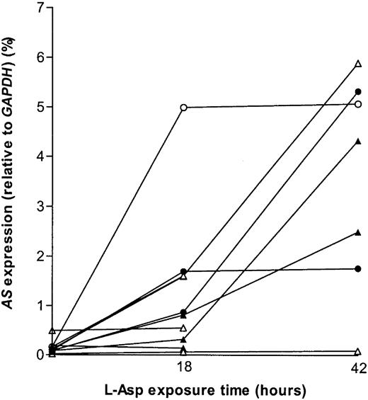 Fig. 4. AS up-regulation after l-Asp exposure. / mRNA expression of AS relative to GAPDH in t(12;21)+ versus t(12;21)− ALL afterl-Asp exposure. The open triangles (▵) or circles (○) indicate t(12;21)− patients, the closed triangles (▴) or circles (●) indicate t(12;21)+ patients. All triangles indicate patients exposed to 0.4 IU/mL l-Asp, and all circles indicate patients exposed to 10 IU/mL l-Asp.