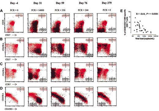 Fig. 2. Differentiation of CMV-specific and total CD8+ T cells in asymptomatic and symptomatic patients. / (A-D) Differentiation of CD8+ T cells in one asymptomatic individual representative of all patients (patient 2). Time defined as days after first positive PCR (day 0), all plots gated on CD8+ T cells. CMV-specific CD8+ T-cell frequencies (percent of total CD8+ T cells): day 31, 4.96%; day 59, 4.58%; day 76, 3.30%; day 279, 1.29%. CMV-specific CD8+ T cells as defined by specific tetramer staining are plotted in black, total CD8+ T cells are plotted in red. Quadrant percentages are depicted in black for CMV-specific CD8+ T cells and in red for total CD8+ T cells. (A) x-axis log fluorescence CD27-FITC, y-axis log fluorescence CD28-PE; (B) x-axis log fluorescence CD27-PE, y-axis log fluorescence CD45RA-FITC; (C) x-axis log fluorescence CCR7-PE, y-axis log fluorescence CD45RA-FITC; (D) x-axis log fluorescence CD45R0-PE, y-axis log fluorescence CD45RA-FITC. (E) Correlation of viral load and percentage of CD28−CD27− cells of CMV-specific CD8+ T cells, during all time points of infection, undetectable viral load was set at the cutoff point of the quantitative PCR at 80 copies/mL.