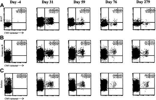 Fig. 3. CMV-specific CD8+ T cells in primary CMV infection are cytotoxic irrespective of their phenotype. / All plots gated on total CD8+ T cells, time defined as days after first positive PCR (day 0); day 31, peak of CMV-specific CD8+ T cell frequency; day 279, time point during latency. (A) x-axis log fluorescence CMV-tetramer, y-axis log fluorescence Ki-67; (B) x-axis log fluorescence CMV-tetramer, y-axis log fluorescence granzyme B; (C) x-axis log fluorescence CMV-tetramer, y-axis log fluorescence perforin. Quadrant percentages depicted as percentages of total CD8+ cells.