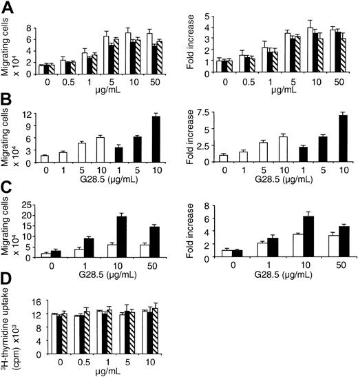 Fig. 1. CD40 activation induces transmigration of MM.1S MM cells. / (A) Serum-starved MM.1S cells were plated on a polycarbonate membrane (8-μm pore size) in the transwell cluster plate and activated using 0 to 50 μg/mL of anti-CD40 mAb (G28.5 or 626.1) or sCD40L added to the lower chamber. After 6 hours of incubation, migrating cells in the lower chamber were counted. G28.5 (■); 626.1 (▪); sCD40L (▧). (B) Serum-starved MM.1S cells were plated at the upper chamber in the transwell cluster plate and activated using 0 to 10 μg/mL G28.5 anti-CD40 mAb added in the lower chamber (■) or added both in the upper and lower chambers (▪). Migrating cells into the lower chamber were collected and quantitated. (C) Membranes separating upper from lower chambers in the transwell were coated with (▪) or without (■) fibronectin (40 μg/mL) overnight. Results are mean ±SE of 3 independent experiments. (D) MM.1S were incubated with CD40 stimulants (μg/mL): G28.5 (■); 626.1 (▪); sCD40L (▧). After 36 hours, the cells were pulsed with 3H-thymidine, and DNA synthesis was measured. Results are mean ±SE of 3 independent experiments.