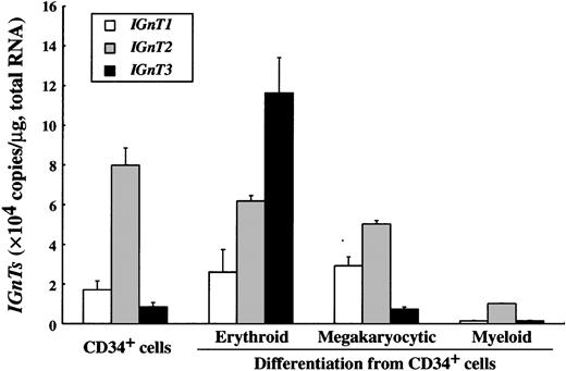 Fig. 4. Changes of IGnT transcript expression during hematopoietic cell differentiation from CD34-positive cells. / The expression level of IGnTs was analyzed by real-time PCR. Standard curve for IGnTs was generated by serial dilution of each plasmid DNA. The expression level of IGnT transcripts was normalized to micrograms of total RNA. Data were obtained from triplicate experiments and are indicated as mean ± SD.
