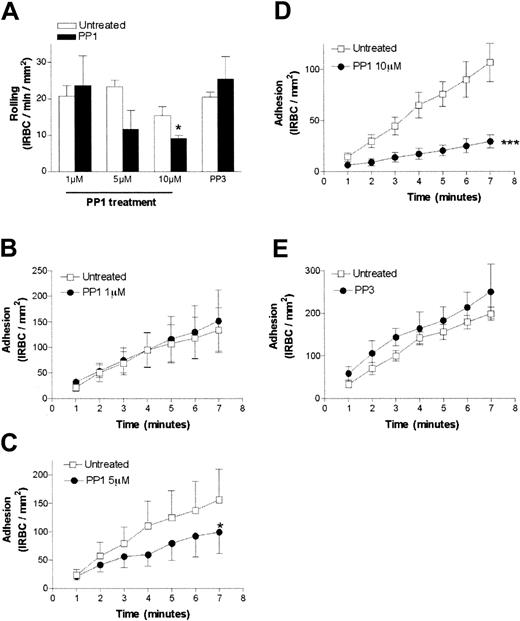 Fig. 2. The effect of the Src-family kinase inhibitor PP1 on IRBC cytoadherence under flow conditions. / The effects are shown for rolling IRBCs (A) and adherent IRBCs (B-E). Confluent HDMEC monolayers were pretreated with 1, 5, or 10 μM PP1 or 10 μM PP3 (the inactive analog) for 30 minutes at 37°C. IRBCs were infused at 1 dyne/cm2 (n = 3 for 1 and 5 μM PP1 and 10 μM PP3; n = 6 for 10 μM PP1). Values are presented as means ± SEM. *P < .05, ***P < .001.