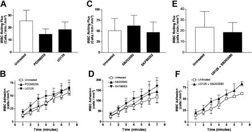 Fig. 4. The effect of signal transduction inhibitors on IRBC cytoadherence. / Confluent HDMEC monolayers were pretreated with 25 μM PD098059 or 10 μM U0126 (n = 4) (A-B); 10 μM SB203580 or 10 μM SKF86002 (n = 3) (C-D); or a combination of U0126 and SB203580 (E-F) (n = 3). Monolayers were treated with all inhibitors for 30 minutes at 37°C. IRBCs were infused at 1 dyne/cm2. Values are presented as means ± SEM.