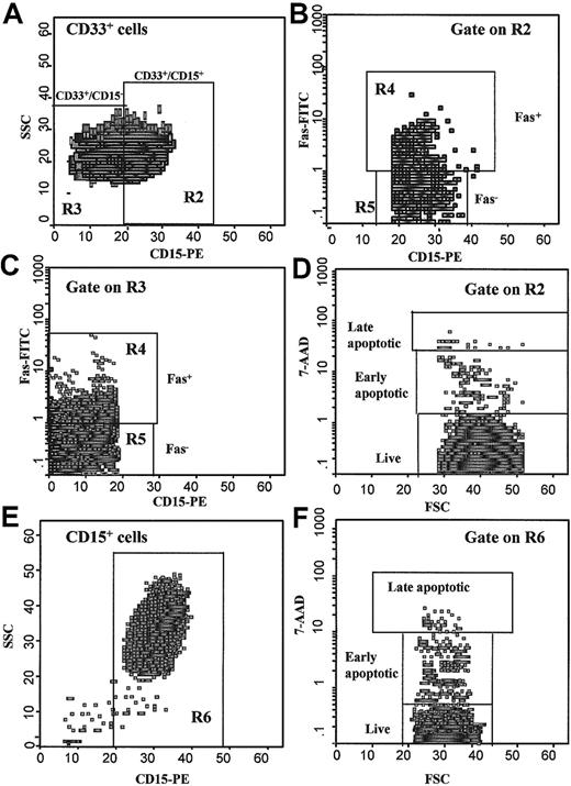 Fig. 2. Study of apoptosis in purified CD33+ and CD15+ cells. / (A) Scattergram of anti-CD15 fluorescence versus right-angle side scatter (SSC) of purified CD33+ cells allows distinction between CD33+/CD15+ (R2) and CD33+/CD15− (R3) cells. (B) Scattergram of anti-CD15 versus anti-Fas fluorescence gated on R2 showing Fas+ (R4) and Fas− (R5) CD33+/CD15+ cells. (C) Scattergram of anti-CD15 versus anti-Fas fluorescence gated on R3 showing Fas+ (R4) and Fas− (R5) CD33+/CD15− cells. (D) Scattergram of forward scatter (FSC) versus 7-AAD fluorescence gated on R2 showing apoptotic and live CD33+/CD15+ cells. (E) Scattergram of anti-CD15 fluorescence versus SSC of purified CD33−/CD15+ cells (R6). (F) Scattergram of FSC versus 7-AAD fluorescence gated on R6 showing apoptotic and live CD33−/CD15+ cells.