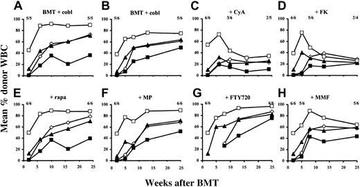 Fig. 1. In contrast to rapa, MP, FTY720, or MMF, CyA and FK inhibit development of long-term chimerism after BMT with cobl. / Results from 2 separate experiments are shown. All B6 mice (n = 5 or 6 per group) received 3 Gy TBI (day −1), 15 to 20 × 106Balb/c BMCs (day 0), anti-CD154 mAb (day 0), and CTLA4Ig (day 2). The percentages of donor-derived CD4+ cells (⋄), CD8+ cells (▪), B cells (▴), and monocytes/granulocytes (■) were evaluated by FCM. The fractions on each panel indicate the fraction of analyzed mice showing chimerism at the time point below. Standard-protocol groups (A, n = 5; B, n = 6) did not receive any additional treatment. Other groups received additionally CyA (C), FK (D), rapa (E), MP (F), FTY720 (G), or MMF (H). Each immunosuppressive drug was given for the first 4 weeks after BMT.