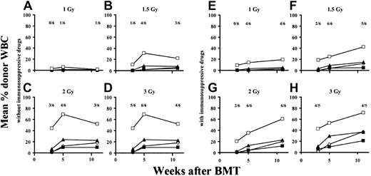 Fig. 4. The addition of a combination of compatible immunosuppressive drugs (rapa + MP + MMF) allows a further reduction of the minimal required dose of TBI. / To evaluate whether immunosuppressive drugs could partially replace TBI in this model, groups of mice were irradiated with different doses of TBI and some were additionally treated with a combination of immunosuppressive drugs. Mice received only TBI at doses of 1 Gy (A), 1.5 Gy (B), 2 Gy (C), or 3 Gy (D; standard-protocol group) or received a combination of rapa, MP, and MMF for 4 weeks in addition to TBI with 1 Gy (E), 1.5 Gy (F), 2 Gy (G), or 3 Gy (H). Fractions shown in each panel indicate the fraction of analyzed mice showing chimerism at the time point indicated below. In graphs, ⋄ indicates CD4 cells, ▪ indicates CD8 cells, ▴ indicates B cells, and ■ indicates monocytes/granulocytes.