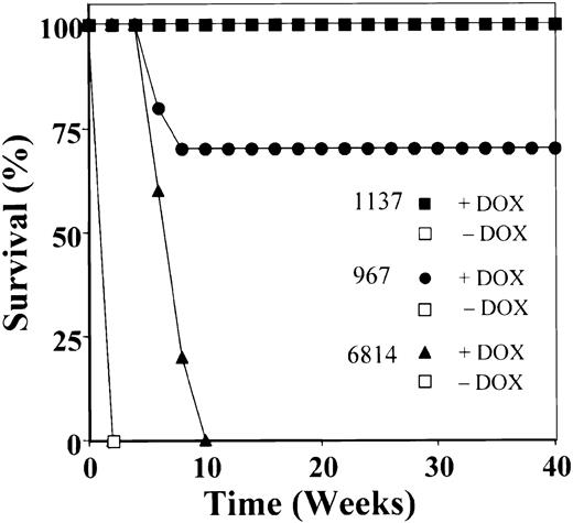 Fig. 2. Each tumor exhibits a distinct propensity to relapse after prolonged. / MYC inactivation. Survival graph of mice receiving transplants of tumors 1137, 967, or 6814. Mice at tumor onset were treated with doxycycline (closed figures) or were not treated (■). All the nontreated mice died within 2 weeks.
