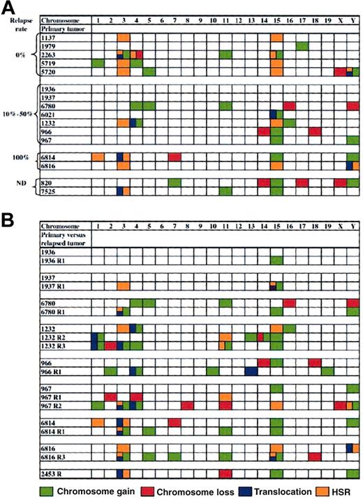Fig. 6. Different chromosomal aberrations in primary versus relapsed. / MYC-induced tumors. (A) Illustration of chromosomal changes in primary tumors organized into groups that never (0%), sometimes (10%-50%), or always (100%) relapse. (B) Illustration of chromosomal abnormalities in primary versus relapsed tumors. Each primary tumor is compared with its relapsed counterpart(s). Gain of chromosome is illustrated in green, loss of chromosome in red, HSR in orange, and translocation in blue. ND indicates not determined