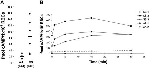 Fig. 1. SS RBCs have higher basal and stimulated cAMP levels compared with AA RBCs. / Cyclic AMP levels in AA or SS RBCs were measured by enzyme-immunoassay (“Materials and methods”). (A) cAMP levels were measured under basal/unstimulated conditions in AA RBCs (n = 4) and SS RBCs (n = 6). Each dot represents the measured cAMP value in 1 × 108 RBCs from one patient. The horizontal bars represent the average values of the individual patient data points. (B) SS (n = 3) and AA (n = 2) RBCs samples (1 × 108 cells per condition) were treated with 80 μM forskolin (Fsk) for 0, 1, 5, 15, and 30 minutes as indicated. After each treatment condition, the RBCs were lysed, and total cellular cAMP levels were measured.