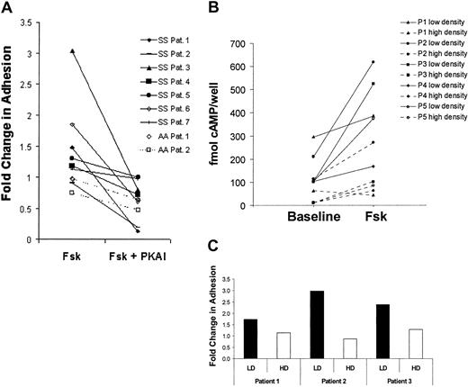 Fig. 2. Forskolin stimulates SS but not AA RBC adhesion to laminin. / (A) SS RBCs (n = 7, solid lines) and AA RBCs (n = 2, dashed lines) were pretreated with 200 μM IBMX for 2 hours to inhibit phosphodiesterase activity. The RBCs were subsequently treated with 36 nM 14-22 amide PKA inhibitor (PKAI) for 1 hour, 80 μM forskolin (Fsk) for 15 minutes, or a combination of Fsk and PKAI as indicated. Adhesion to laminin was measured in the flow adhesion assay (“Materials and methods”). Basal adhesion was normalized to 1. (B-C), SS RBCs patient samples were separated into a low-density (reticulocyte-enriched) and a high-density (reticulocyte-depleted) population using an arabinogalactan density gradient (“Materials and methods”). (B) cAMP levels were measured in 1 × 108low-density (solid lines) or high-density (dotted lines) SS RBCs/condition from 5 separate patients during baseline and forskolin-treated conditions (80 μM for 15 minutes) as indicated. (C) Fold change in adhesion of low-density (LD, ▪) and high-density (HD, ■) SS RBCs to laminin was measured in the flow adhesion assay (“Materials and methods”) in response to forskolin (80 μM for 15 minutes) in SS RBCs from 3 separate patients. Basal adhesion is normalized to 1.