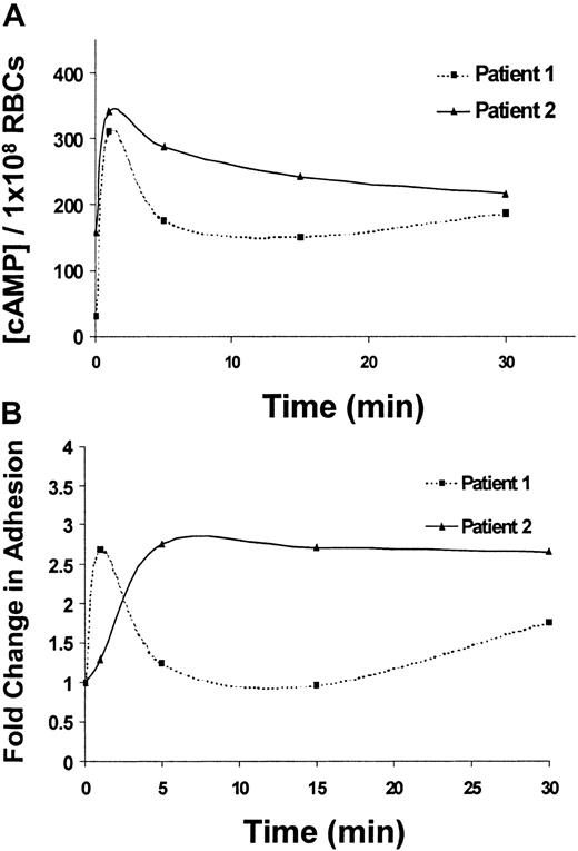 Fig. 4. Epinephrine-stimulated cAMP production and adhesion to laminin exhibit similar time courses. / (A) SS RBCs from 2 different patients were treated with 1 × 10−2 μM epinephrine and lysed after 1, 5, 15, or 30 minutes as indicated. Total cAMP levels were measured in 1 × 108 SS RBCs/condition by enzyme-immunoassay (“Materials and methods”). (B) Adhesion of SS RBCs from 2 different patients to immobilized laminin was measured using the flow adhesion assay after treatment for 1, 5, 15, and 30 minutes with 1 × 10−2 μM epinephrine. Baseline adhesion is set at 1, and fold change from baseline adhesion at each time point is shown (lines connecting the individual time points do not represent the best fit line, but serve as a visual aid).