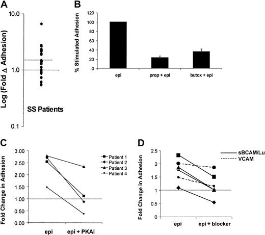 Fig. 5. Mechanisms of epinephrine-stimulated adhesion in SS RBCs from the responsive patient subpopulation. / Adhesion of SS RBCs to immobilized laminin was measured in the flow adhesion assay (“Materials and methods”) under basal conditions, following epinephrine stimulation (1 × 10−2 μM epinephrine for 1 minute), or in the presence of one of the inhibitors described in B, C, and D. (A) Baseline adhesion is set at 1 (solid line), and the log of the fold change from basal adhesion following epinephrine stimulation is indicated on the y-axis. Patients with more than 1.5-fold (50%) elevation in adhesion (on or above dotted line) were classified as responders, and patients below the dotted line were classified as nonresponders. Each dot represents a separate patient (n = 28). Inhibition of epinephrine-stimulated adhesion was measured in the presence of (B) the nonspecific β-AR antagonist propranolol (170 μM for 30 minutes) or the β2-specific AR antagonist butoxamine (160 μM for 30 minutes (P < .05, n = 5), (C) a PKA inhibitor (PKAI) (36 nM for 1 hour) (P < .05, n = 4), or (D) 100 μg/mL soluble BCAM/Lu (solid line) or 100 μg/mL soluble VCAM (control) (dotted line). The portion of adhesion stimulated by epinephrine was inhibited by an average of 96% (n = 4,P < .05). (The dotted line in C and D indicates basal adhesion normalized to 1).