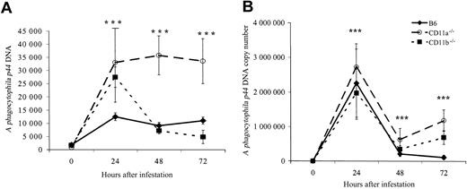 Fig. 3. A phagocytophila p44 DNA copy number amplified from skin associated with tick sites and suture sites using quantitative PCR. / Lines represent average ± SE (n = 4 to 8 mice per strain per sample period). *Significant differences between tick (A) and suture (B) skin sites and adjacent noninflamed skin sites sampled at the same time (P < .05). *** indicates that inflamed skin in all 3 mouse strains (B6, CD11a−/−, and CD11b−/−) is significantly different than adjacent noninflamed skin. Note that suture (B) elicits 100 to 150 times greater neutrophil-pathogen accumulation than tick feeding (A).
