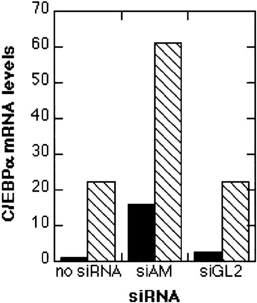 Fig. 7. Real-time RT-PCR analysis of C/EBPα expression. / Total RNA was isolated 4 days after electroporation with 200 nM siRNA and analyzed by real-time RT-PCR as described in “Materials and methods.” The relative C/EBPα mRNA levels in relation to GAPDH mRNA levels are shown. Black bars (▪), no TGFβ1/vitamin D3 treatment; hatched bars (▧), treatment with TGFβ1 and vitamin D3. For siRNA nomenclature and target sites, see Table 1.