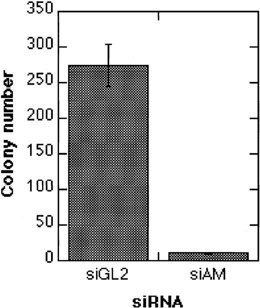 Fig. 8. Effects of siRNAs on the clonogenicity of Kasumi-1 cells. / The graph shows the colony formation of Kasumi-1 cells after electroporation with 200 nM siRNA and TGFβ1/vitamin D3 treatment. Colonies were counted 14 days after electroporation. Error bars indicate standard deviations. For siRNA nomenclature and target sites, see Table 1.
