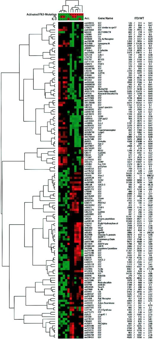 Fig. 3. Hierarchical cluster analysis of self-organizing maps. / Using the cluster software,22 we performed hierarchical clustering of a self-organizing map with the genes judged to be significantly regulated by SAM, which were expressed in either group at a significant level (average difference, > 200), and for which the “fold change” ( = mean of ITD/mean of WT average difference) was more than 2 or less than 0.5. IL-3–stimulated samples that had been excluded from SAM analyses were included in this analysis. Values from the Affymetrix software were normalized and median centered before the self-organizing map (SOM) algorithm was applied followed by hierarchical clustering. Red areas depict high expression and green areas depict low expression of a given gene in a given sample. The average difference and fold change values for each gene are presented in the table.