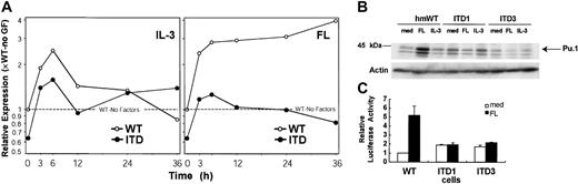 Fig. 8. ITD mutations suppress PU.1 expression and function. / (A) Real time RT-PCR analysis of PU.1 mRNA from 32D/Flt3-WT (○) and 32D/Flt3-ITD (●) stimulated with IL-3 or FL as indicated for 36 hours or more. The expression level is shown in the same way as in Figure 6. (B) Western blot analysis of Pu.1 protein from 32D/Flt3-WT and 32D/Flt3-ITD stimulated with cytokines for 48 hours. (C) Analysis of Pu.1-transactivating activity on a Pu.1-responsive promoter construct, 3 × WT-MHC-luc. 32D/Flt3-WT and 32D/Flt3-ITD were starved from IL-3 for 2 hours and transfected with 3 × WT-MHC-Luc and pRLnull. After stimulation with the indicated cytokines for 16 hours, cells were lysed, and the luciferase activity of the cell lysates was determined. The relative luciferase activity was normalized to renilla luciferase activity (activity of cotransfected pRLnull vector). med indicates medium, no cytokines.