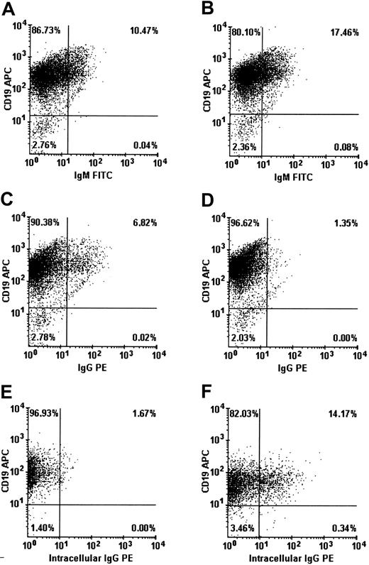 Fig. 4. IVIG addition stimulates B-lymphocyte differentiation. / Purified human B lymphocytes were cultured with IL-4 and irradiated L4.5 during 14 days with 4 mM glycine and 10 mg/mL BSA (A,C,E) or with 10 mg/mL dialyzed IVIGs (B,D,F). On day 8, cells were collected, washed, and stained for CD19 and IgM (A-B), CD19 and IgG (C-D), or CD19 and intracellular IgG expression (E-F). Both IVIG preparations induced similar patterns during the 14-day culture period.
