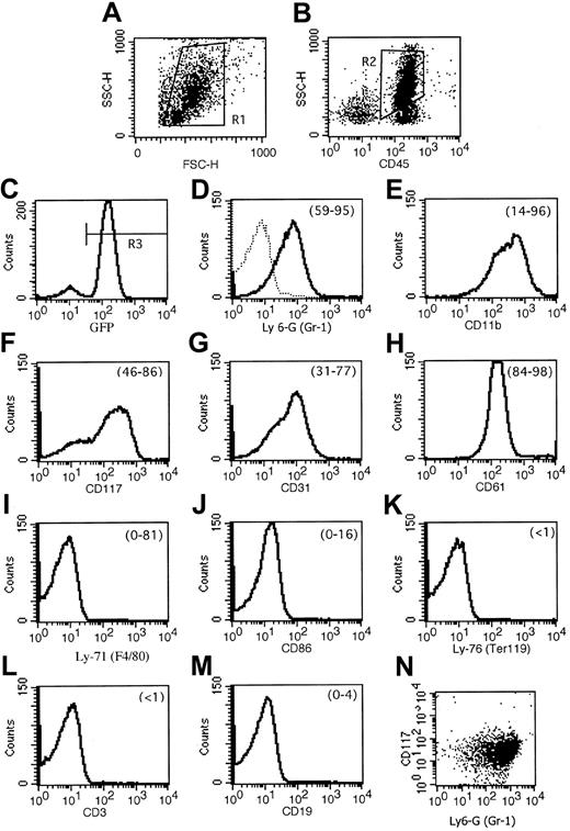 Fig. 3. Flow cytometric immunophenotyping of FLT3W51/PML-RARα leukemias demonstrates that they are composed of immature myeloid cells. / (A) FSC/SSC, ungated. (B) CD45/SSC, gate = R1. (C) GFP, gate = R1 and R2. Remaining panels: gate = R1 and R2 and R3. Results of a representative leukemia (no. 747) are shown. (D) Dotted line in the Ly-6G (Gr-1) histogram represents an isotype control antibody. Numbers in parentheses at the top right of the histograms indicate the range of percent expression of the given marker compared with control antibody for the leukemias analyzed. (E) Of particular note, though leukemia number 747 expressed CD11b (Mac-1) moderately strongly, other leukemias analyzed showed weak and variable expression. (I) F4/80 also had heterogenous expression; 2 leukemias (nos. 1128 and 1087) had moderately strong expression, and expression in the remaining was very low. Mean ± standard deviation for the markers was as follows: (D) Ly-6G (Gr-1), 80.7 ± 13.2 (% of GFP-positive cells); (E) CD11b (Mac-1), 56.8 ± 32.2; (F) CD117 (c-kit), 69.7 ± 14.2; (G) CD31, 54.2 ± 18.3; (H) CD61, 94.1 ± 5.2; (I) Ly-71 (F4/80), 19.4 ± 33.8; (J) CD86, 6.6 ± 6.0; (K) Ly-76 (Ter119) < 0.5; (L) CD3 < 0.5; (M) CD19, 0.7 ± 1.4. Because CD117 (c-kit) and Ly-6G (Gr-1) were each expressed on more than 50% of GFP-positive cells in 5 leukemias, it is clear that these markers are coexpressed by leukemic immature forms/blasts. This coexpression is depicted in the final panel (N) showing coexpression of CD117 and Ly-6G on leukemia number 1128.
