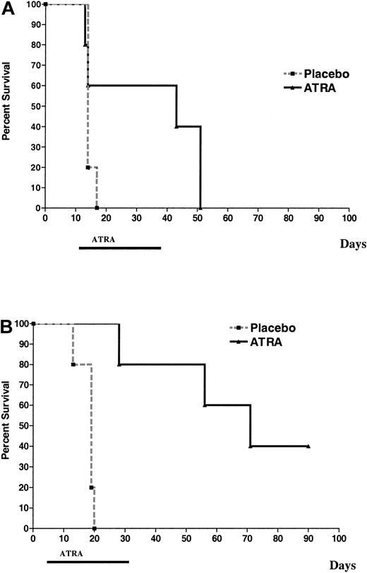 Fig. 5. FLT3W51/PML-RARα leukemias respond to ATRA. / Cohorts of histocompatible healthy FVB/N mice were sublethally irradiated and injected with 1 × 106 leukemic cells (n = 5 for all cohorts). (A) ATRA or placebo pellets (10 mg, 21-day release) were implanted on day 12 after injection. (B) ATRA or placebo pellets (10 mg, 21-day release) were implanted on day 6 after injection. Placebo versus ATRA, P = .002 (by log-rank).
