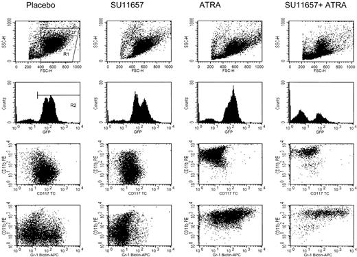 Fig. 8. ATRA causes immunophenotypic differentiation of leukemic cells. / Representative flow cytometry of splenic cells harvested from mice treated as described in the legend to Figure 6. Histograms are gated on R1. Dot plots are gated on R1 and R2 and, therefore, represent the GFP-positive leukemic cells. ATRA causes a loss of the immature marker CD117 (c-kit) and increased expression of the mature myeloid markers CD11b (Mac-1) and Ly-6G (Gr-1).