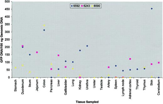 Fig. 1. Detection of GFP transgene in nonhematopoietic tissues. / Scatter diagram depicts level of green fluorescent protein (GFP)–positive DNA detected per 100 ng baboon genomic DNA from various tissues sampled at necropsy. Symbols were omitted if tissue was not sampled.