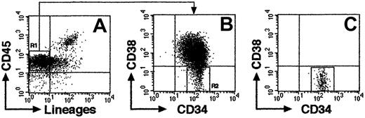Fig. 1. Representative FACS profile of sorted CB Lin−/lowCD34+CD38− cells. / (A) Column-enriched CD34+ cells were stained with anti-CD45 mAb and antilineage-specific mAb cocktail and were gated on lineage marker–negative and/or low expression region (R1). (B) R1 cells were further gated on CD34+CD38− region (R2). (C) Re-analysis of isolated CD34+CD38− cells from R2 (99.8% purity).