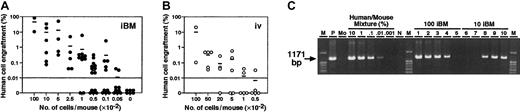 Fig. 3. Summary of human cell engraftment levels in the BM of NOD/SCID mice. / (A-B) NOD/SCID mice were given transplants of CB Lin−/lowCD34+CD38− cell fractions by iBM (●) (A) or intravenous (○) (B). Eight weeks after transplantation, BM cells obtained from NOD/SCID mice were analyzed by FACS and PCR. Numbers indicate the dose of Lin−/lowCD34+CD38− cells transplanted. Number “0” means mice were given transplants of 104 irradiated CD34+CD38+ carrier cells alone. Each dot represents 1 mouse, and bars indicate the average levels of engraftment. The horizontal lines indicate threshold of positive engraftment. (C) Representative PCR analysis of individual NOD/SCID mice given transplants of CB Lin−/lowCD34+CD38− cells by iBM (lanes 1-5 indicate 100 cells injected, lanes 6-10 indicate 10 cells injected). DNA was extracted from the BM cells 8 weeks after transplantations and amplified using a human chromosome 17 α-satellite specific primer. Representative PCR analysis of 5 independent experiments is shown. M, size marker; P, 100% human DNA; Mo, 100% mouse DNA; N, distilled water (DW).