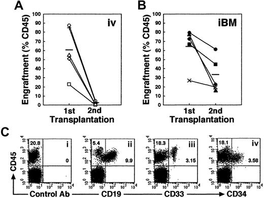 Fig. 6. Secondary transplantation. / (A-B) Whole human BM cells obtained from each primary recipient mouse given an iBM transplant (n = 10) were transplanted to a secondary recipient mouse by intravenous injection (n = 5) (A) or iBM injection (n = 5) (B). Secondary recipient mouse BM cells were analyzed for the expressions of human CD45 at 6 weeks after transplantation. Each symbol represents 1 mouse, and bars indicate the average engraftment level in 3 independent experiments. (C) Representative FACS analysis of a NOD/SCID mouse that received a secondary transplant. Human CD45+ cells in BM were analyzed for the expression of CD19 (ii), CD33 (iii), and CD34 (iv). The relative frequencies of each population are indicated.