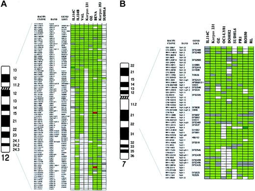 Fig. 4. Schematic representation of DNA copy-number alterations in patients with transformed FCL and FCL-derived cell lines. / (A) Chromosome 12: array CGH analysis of 2 transformed samples from patients with FCL (IL114C and IL124B) and 6 cell lines (VAL, Karpas 231, OZ, BEVA, Karpas 353, and SUDHL6). Ninety-one BAC and P1-derived clones included in the array are listed in the columns on the left. In dark green, regions of genomic gain; in bright green, regions of genomic amplification; in red, regions of genomic loss; in white, normal log2 ratio; gray squares represent noninformative clones. The log2 ratios for defining genomic imbalances are defined in “Patients, materials, and methods.” The common region of gain was defined between 12p telomere and 12q12, including high-level amplification of clone RP11-29G3 in IL114C (log2 ratio + SD, +0.96 + 0.059). (B) Chromosome 7q: array CGH analysis of 8 cell lines with gain of chromosome 7q (Karpas 231, OZ, OCI-LY8, DOHH2, SUDHL6, PR1, ROS50, and RL) and one transformed patient (IL 114C). Using CGH to chromosomes, the common region of gain in all these samples allowed the delineation of a common region of gain to 7q11-q31 (data not shown). This region is represented here using array CGH. Fifty-two clones covering 7q11-q31 are shown. The different colors represent the genomic aberrations as defined in Figure4A. The common region of gain was delineated between 7q11.2 and 7q22.1. One clone (CTC-224F8 in 7q21.3) showed high-level amplification in ROS50 (log2 ratio + SD, +1.13 + 0.022).