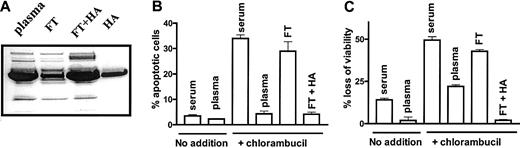 Fig. 1. Albumin depletion compromises the antiapoptotic action of plasma. / (A) SDS-polyacrylamide gel electrophoresis of plasma. FT indicates flow-through from Cibacron Blue-Sepharose column; and FT + HA, flow-through supplemented with 50 mg/mL HA. (B) Percentage of apoptotic cells and (C) loss of viability of untreated CLL cells or cells pretreated with 80 μM chlorambucil and incubated for 24 hours with the indicated supplements. The data are representative of 3 experiments.