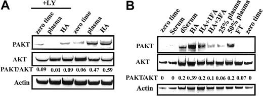 Fig. 5. Activation of AKT kinase by plasma or HA. / Activation of AKT was determined as described in “Materials and methods.” Cells from 2 different patients were used in A and B. Serum, delipidated serum (dSerum), plasma, and FT were added as 50% mixtures with basal medium except where indicated. HA was at 25 mg/mL. Data are representative of 8 experiments.