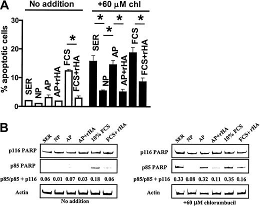 Fig. 7. Actions of recombinant HA and analbuminemic plasma on CLL apoptosis. / Apoptosis was quantified by morphologic criteria (A, *P < .01) or by Western blot analysis of PARP cleavage (B). Human serum or plasma was added at 50% (vol/vol). FCS was at 10% (vol/vol). chl indicates chlorambucil.