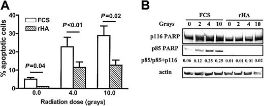 Fig. 8. Albumin protects CLL cells from radiation-induced apoptosis. / (A) CLL cells from 3 patients were exposed to the indicated doses of gamma radiation. They were then incubated in RPMI medium supplemented with FCS or rHA. The percentage of apoptotic cells was determined following 24-hour incubation. The mean values ± standard errors are shown. (B) Quantitation of PARP cleavage in irradiated CLL cells incubated for 12 hours with FCS or rHA.