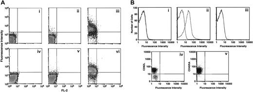 Fig. 3. HTSU-IgG binding to unstimulated CD4+ T cells isolated from cord blood is restricted to the CD45RO+(memory) subset. / (A) Cord blood lymphocytes were enriched for CD4+ and CD8+ T cells as described in “Materials and methods,” and the binding assays performed. Panels i-iii, CD4+ T cells; panels iv-vi, CD8+ T cells. The level of HTSU-IgG binding was determined for unactivated cells (panels ii,v) and for cells activated for 5 days (panels iii,vi). Panels i and iv show the level of binding to negative control SUA-IgG. (B) Panels i-iii show freshly isolated cord blood lymphocytes enriched for CD4+ T cells that were sorted for CD45RO and CD45RA, and binding of HTSU-IgG to these cell populations from freshly isolated, unstimulated cord CD4+ T lymphocytes was determined. Panel i shows binding to CD45RA+ T cells from one donor, panel ii shows binding to CD45RO+ cells from the same donor as panel i. Panel iii shows binding to CD45RA+ T cells from a different donor. Panels iv and v show freshly isolated cord blood lymphocytes enriched for CD4+ T cells. Three-color flow cytometry was performed, using PE-labeled anti-CD62L antibody, PerCP-labeled anti-CD45RA antibody, and HTSU-IgG indirectly labeled with FITC as described in “Materials and methods.” Panel iv shows analysis performed by gating on the population positive for binding to the anti-CD45RA antibody. X-axis, binding of HTSU-IgG; y-axis, binding to anti-CD62L antibody. Panel v shows analysis performed by gating on the population positive for binding to the anti-CD62L antibody. X-axis, binding of HTSU-IgG; y-axis, binding to anti-CD45RA antibody.