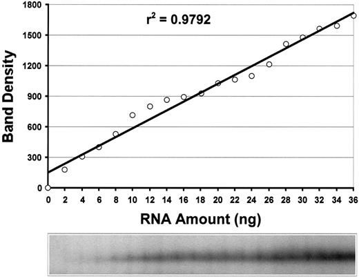 Fig. 3. Sensitivity and linearity of. / FHL1 TCA. The RT-PCR-SSCP analysis ofFHL1 showed a linear response in the range of 2 to 36 ng total RNA/reaction (r2 = 0.98). As little as 2 ng total RNA can be detected.