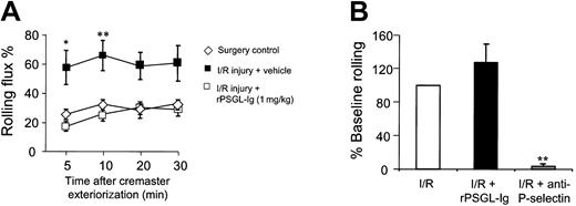 Fig. 3. Effect of rPSGL-Ig on ischemia/reperfusion–induced leukocyte rolling. / (A) Effect of rPSGL-Ig pretreatment. Mice were subjected to 1 hour lower-body ischemia by application of an infrarenal cross-clamp. Surgery control mice received a laparotomy but no clamp. Some mice received rPSGL-Ig (1 mg/kg, intravenously) 5 minutes prior to release of the aortic clamp. Mice were prepared for intravital microscopy 30 minutes after release of the aortic clamp, and leukocyte rolling in venules was recorded. (B) Effect of rPSGL-Ig treatment after development of I/R-induced rolling. Mice were subjected to 1-hour lower-body ischemia and prepared for intravital microscopy after aortic clamp removal. Low-dose (1 mg/kg) rPSGL-Ig was injected 30 minutes after cremaster surgery, and P-selectin blocking antibody was injected after a further 10 minutes. Data are presented as mean ± SEMs of n = 4 to 6 experiments. Significant difference between rPSGL-Ig– (1 mg/kg) and vehicle-pretreated I/R groups are indicated by *P < .05 or **P < .01.