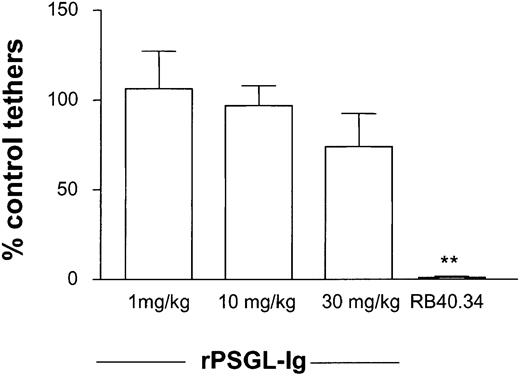 Fig. 4. Effect of rPSGL-Ig treatment on leukocyte-tethering rate. / WT mice were prepared for intravital microscopy, and surgically induced leukocyte rolling was allowed to develop for 10 minutes. Attention was focused on regions where new tethers could be clearly distinguished, and control tethering rate was determined for 5 to 10 minutes. Low-dose (1 mg/kg) rPSGL-Ig was then injected intravenously, and tethering determined for a further 5 to 10 minutes. Anti–P-selectin antibody was injected at the end of experiments as a positive control. Tethering rates were determined in 6 mice for each dose of rPSGL-Ig studied. Significant difference from control is indicated by **P < .01. Data are presented as mean ± SEM.