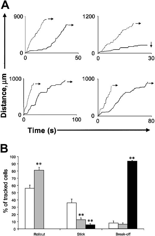 Fig. 5. Effect of low-dose (1 mg/kg) rPSGL-Ig treatment on the fate of rolling leukocytes. / WT mice were prepared for intravital microscopy, and surgically induced leukocyte rolling was allowed to develop for 10 minutes. After this period, leukocytes were tracked from a point of obvious attachment (as in Figure 3) through postcapillary venules to points where confident tracking could no longer proceed (ie, if vessels were too large or passed out of the viewable area. (A) Cumulative distance/time plots for individual leukocytes. Each plot shows tracks of 2 leukocytes traveling through the same vessel network before (black line) and after (gray line) low-dose (1 mg/kg intravenously) rPSGL-Ig. Rightward-facing arrows indicate leukocytes rolling out of the observable region. Downward-facing arrows indicate firm adhesion. (B) Combined fate of leukocytes traveling through multiple networks. After surgical preparation of the cremaster and a 10-minute stabilization period, mice received either rPSGL-Ig or vehicle. Multiple leukocytes were tracked through different vessel networks of n = 4 mice per treatment (control, 46 cells, ■; 1 mg/kg rPSGL-Ig, 48 cells, ░; 30 mg/kg rPSGL-Ig, 54 cells, ▪), and their fate was determined as either rollout (leaving the observable area without detachment), stick (remaining stationary for longer than 30 seconds), or break-off (detaching from the endothelium, rejoining the free circulation, and disappearing from view). **Indicates a statistically significant difference from control, P < .01. Data are presented as mean ± SEM.